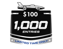 Load image into Gallery viewer, 1000 chances for $100
