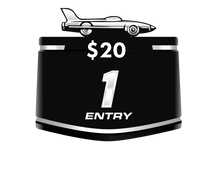 Load image into Gallery viewer, 1 chance for $20

