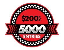 Load image into Gallery viewer, 5000 chances for $200
